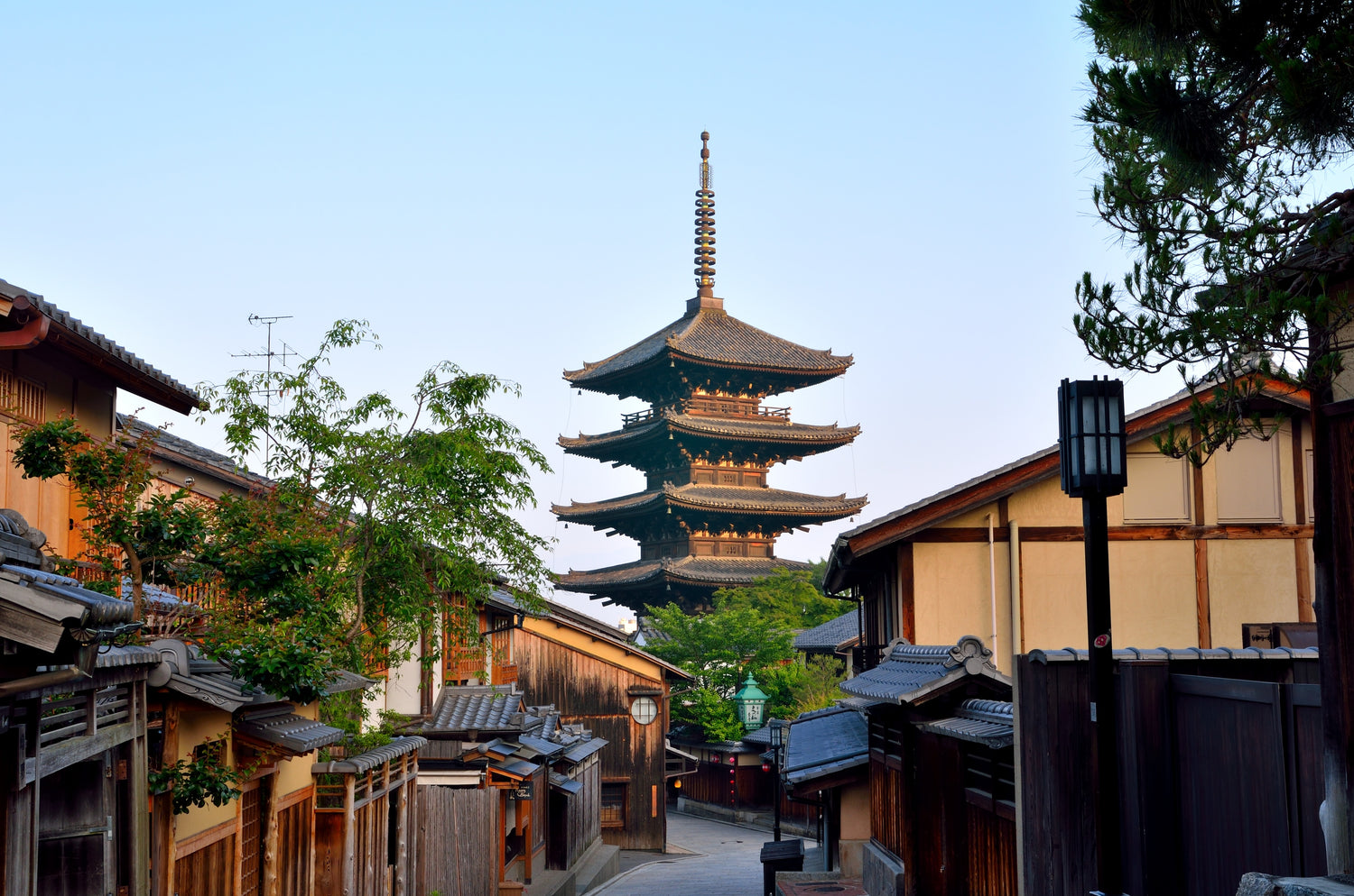 K-RISE Suitcase Delivery